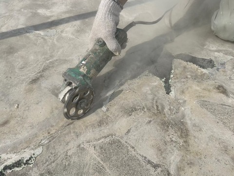 LINE_ALBUM__231016_127