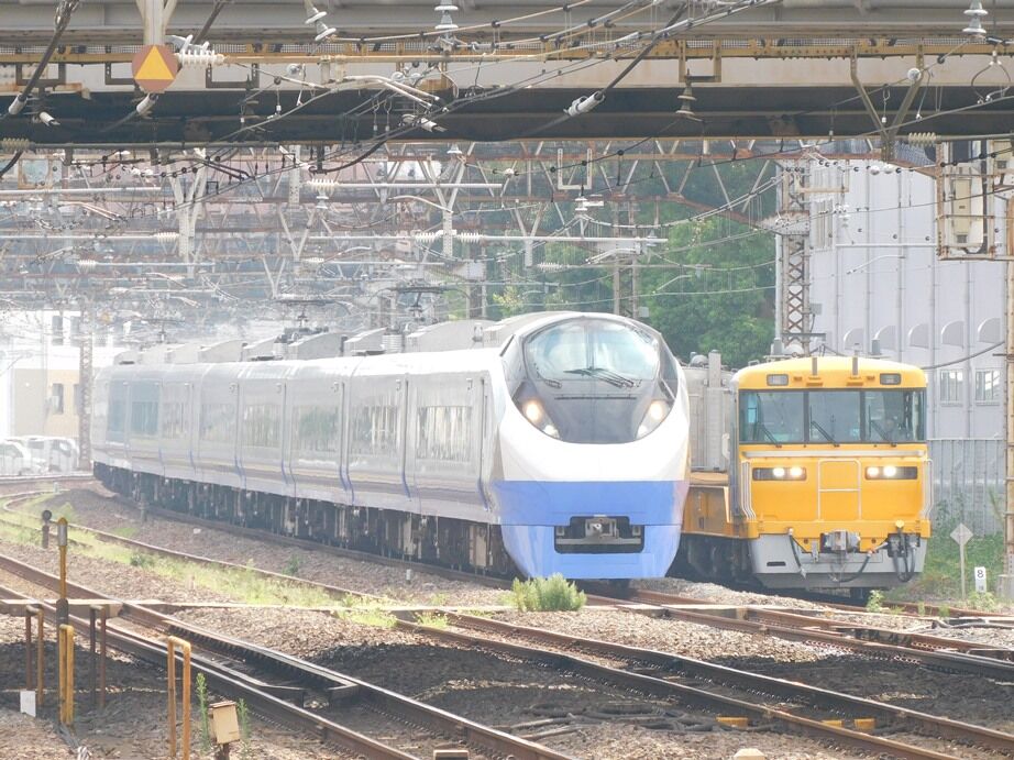 常磐線(E231系U506・E657系青・E657系黄・E657系紅・キヤE195系) - 令和5年9月 : 深徒徒