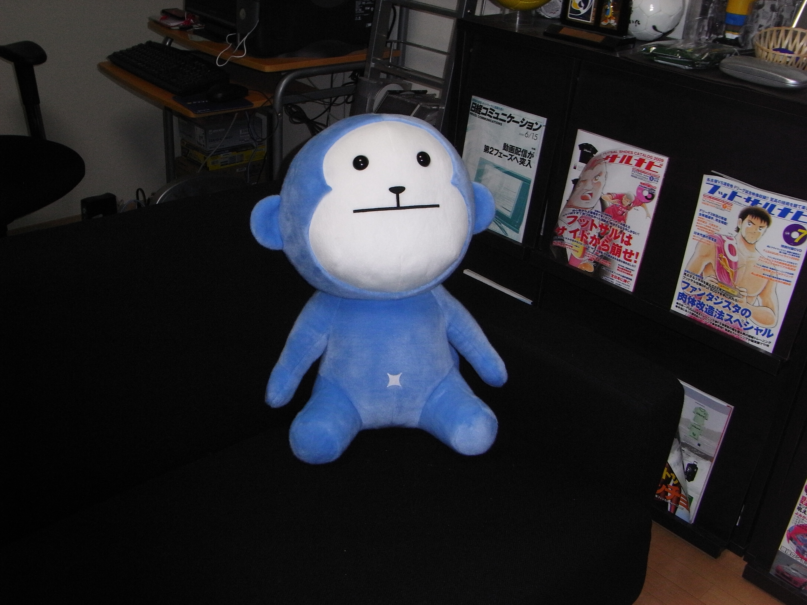 特大のあいつが我が家にやってきた : Blog@Pro salfer Gol