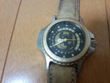 camel_watch02