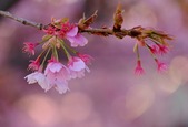blog2303155