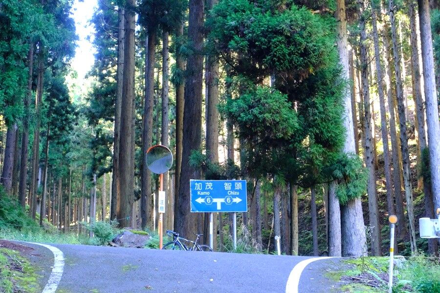 因美線 鳥取－智頭－津山・サイクリング 後半 : 吉野川のほとりから