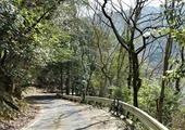 blog23031131