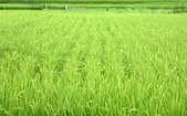 blog2007255