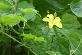 blog2007241