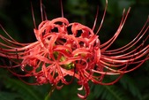 blog2109182