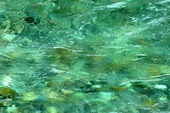 blog2108272