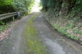 blog200913