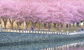 blog2303101