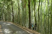 blog2009054