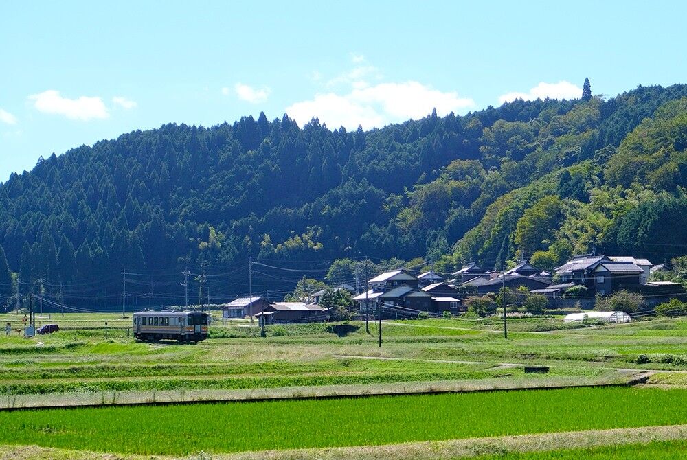 因美線 鳥取－智頭－津山・サイクリング 後半 : 吉野川のほとりから