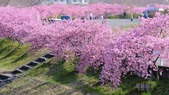 blog2303121