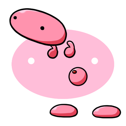 スカポン