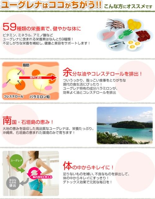 お得，本物保証 □認証マーク付□株式会社ユーグレナ ミドリムシ