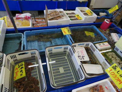 海産物 しおがま千賀の浦市場 塩釜うまいもの通信 海産物 しおがま千賀の浦市場 塩釜うまいもの通信