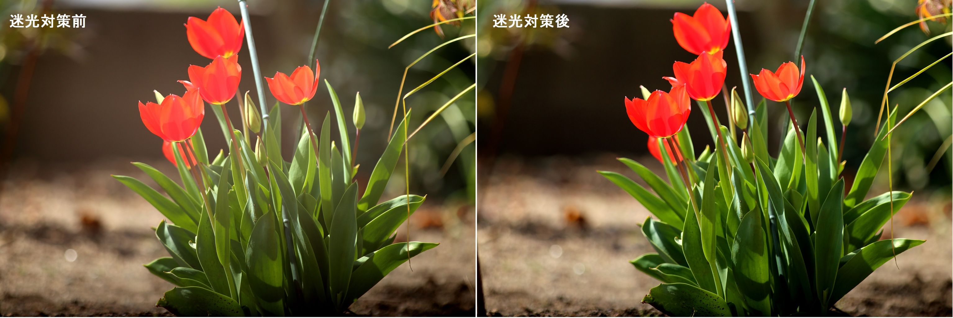 Canon New FD 500mm F4.5L 天体写真テスト : Shio-Gのblog Canon New FD 500mm F4.5L 天体写真テスト : Shio-Gのblog