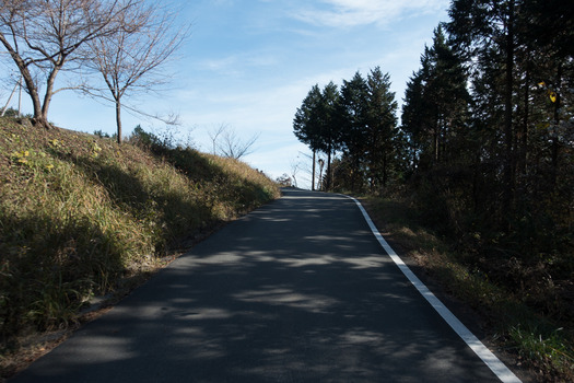 DSC08206