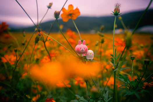 DSC04362-Edit