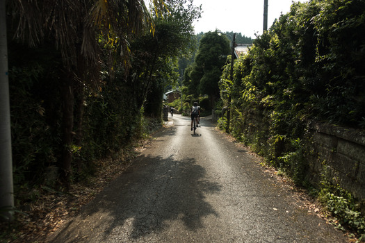 DSC05311