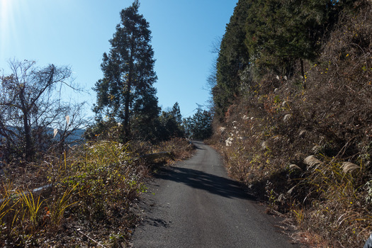 DSC00176