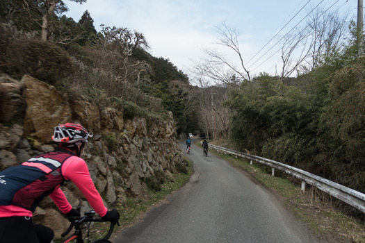 DSC08315 (1)