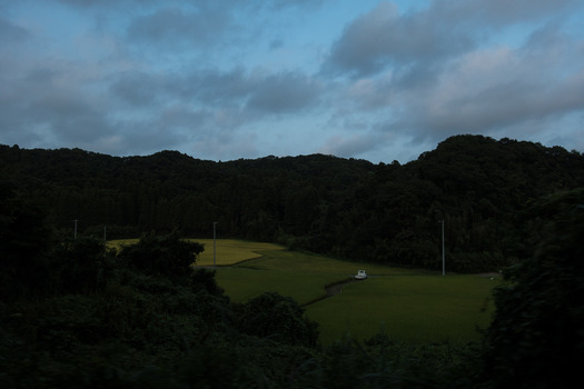 DSC05550
