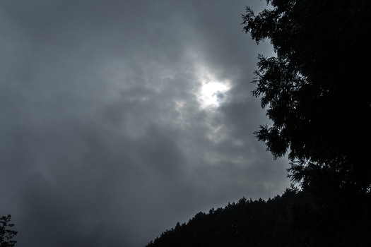DSC01778
