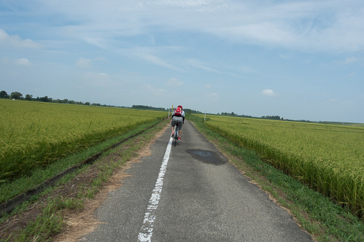 DSC02036