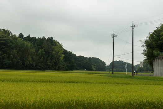 DSC05059