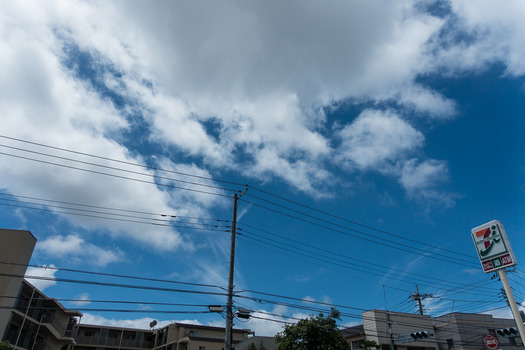 DSC08485 (1)