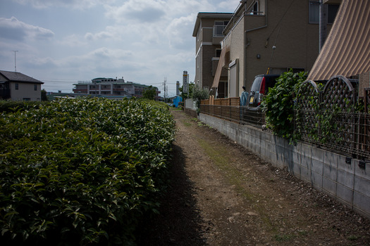 DSC09987