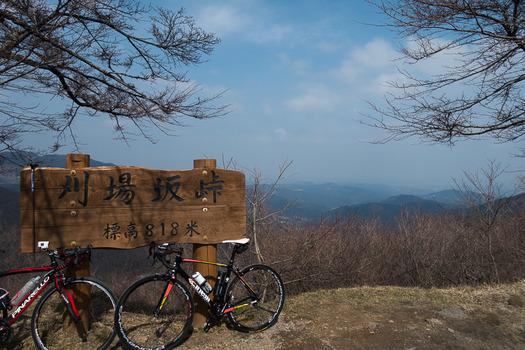 DSC08531 (1)