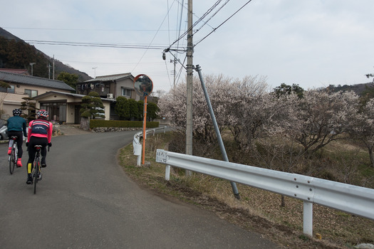 DSC08303