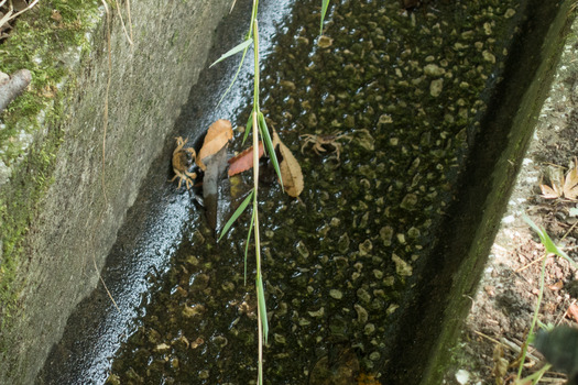 DSC05290
