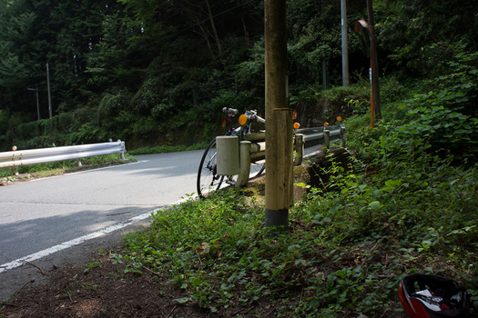 DSC03617