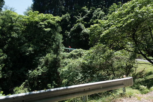 DSC01018