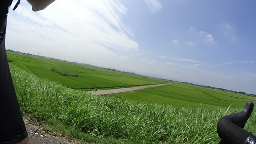 DSC04023