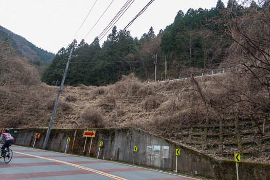 DSC09415