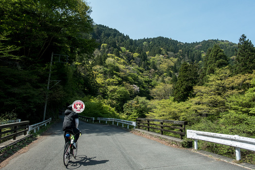 DSC07070_web