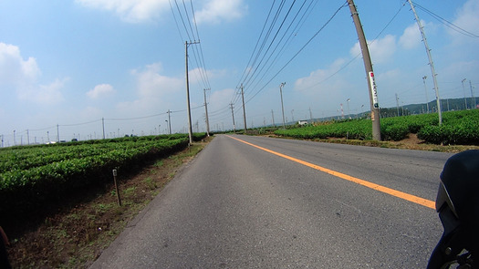 DSC01195
