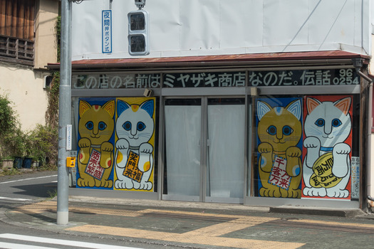 DSC09487