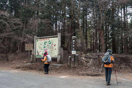 DSC08557 (1)