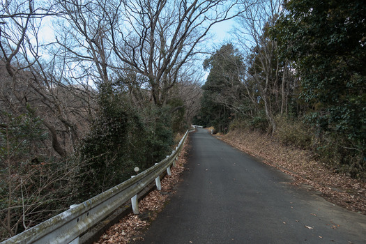 DSC03030
