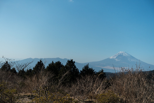 DSC09555
