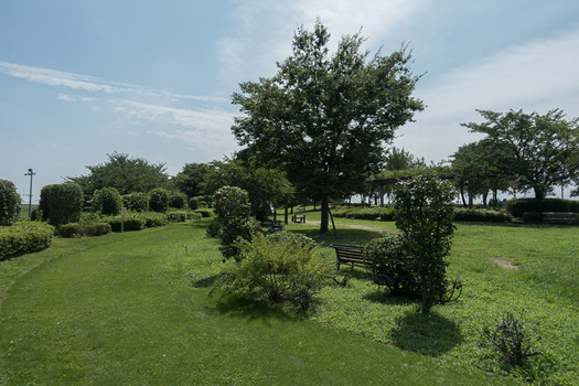 DSC02116