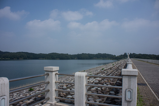 DSC03548
