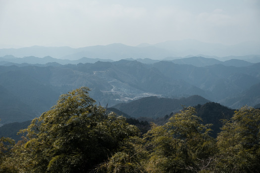 DSC08465 (1)