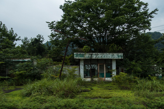 DSC02331