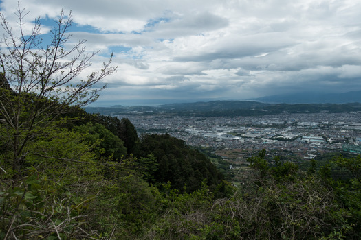 DSC08206
