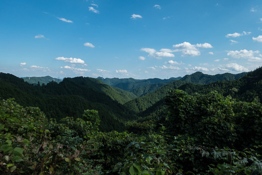 DSC03955